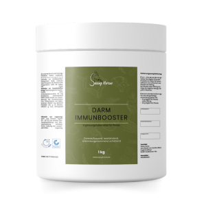 Darm Immunbooster 1 KG